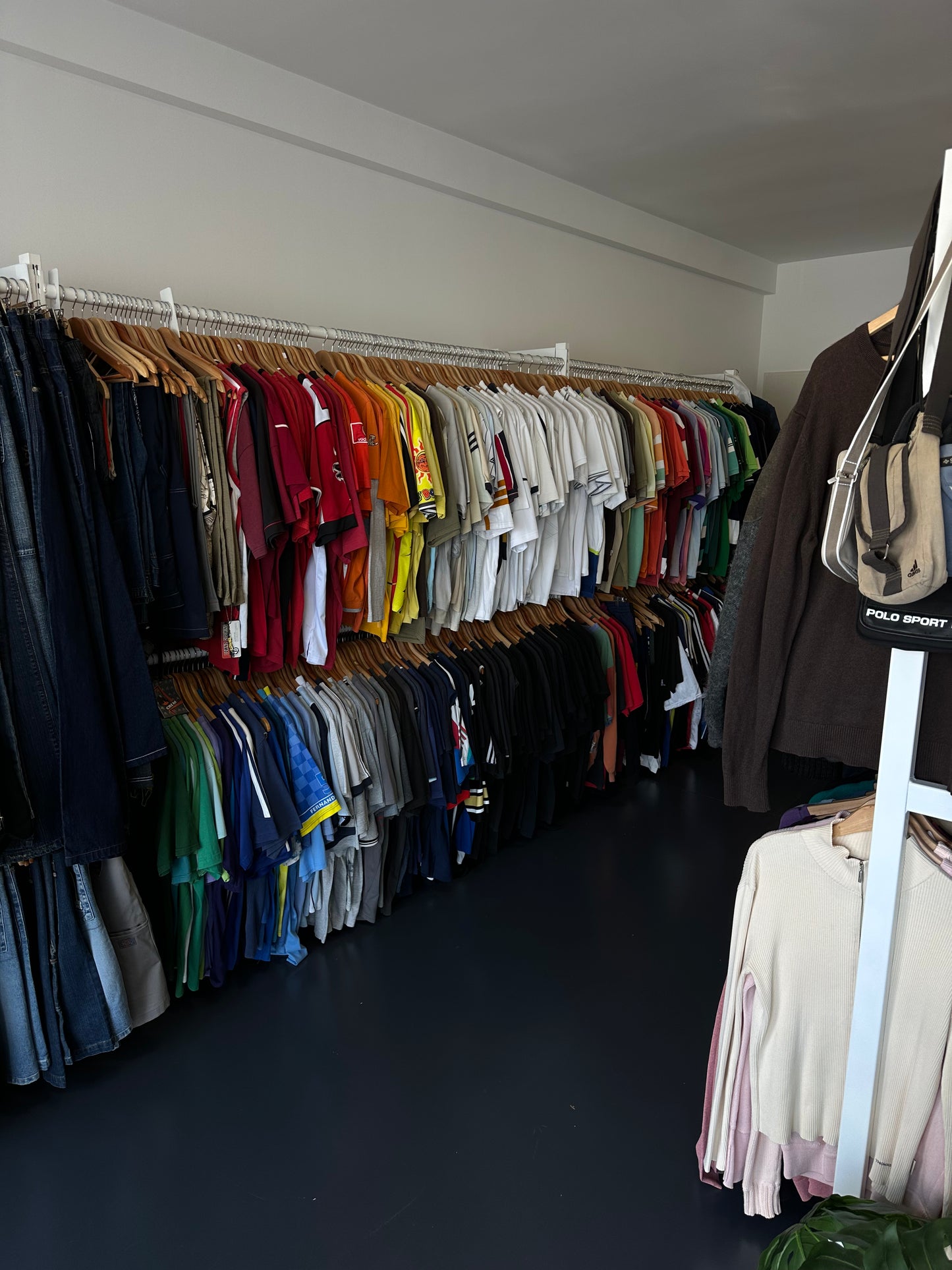 VISITA NUESTRO SHOWROOM