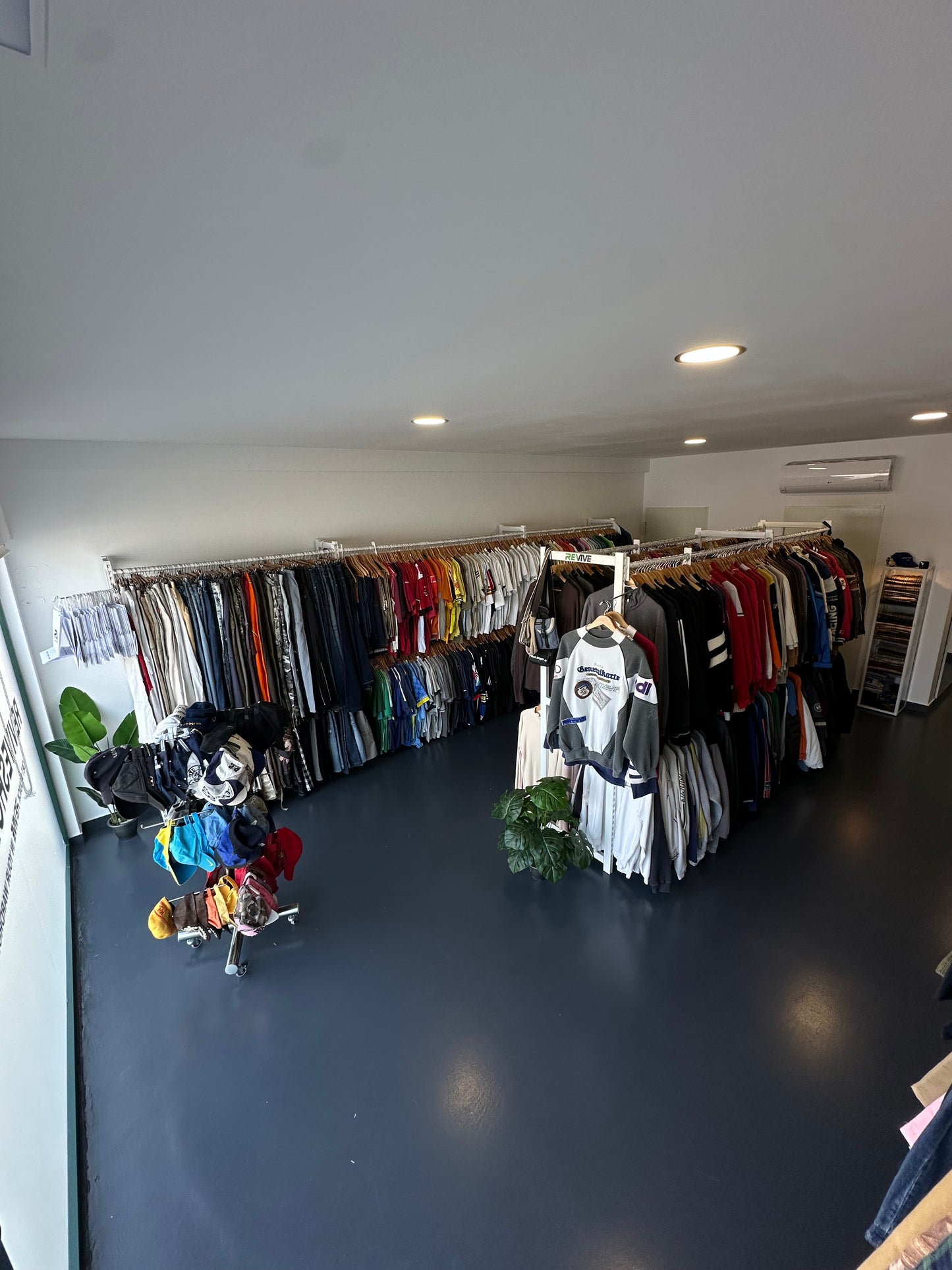 VISITA NUESTRO SHOWROOM